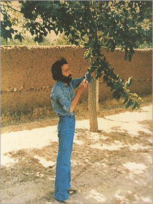 عکس سهراب سپهری در گلستانه متن شعر صدای پای آب سپهری