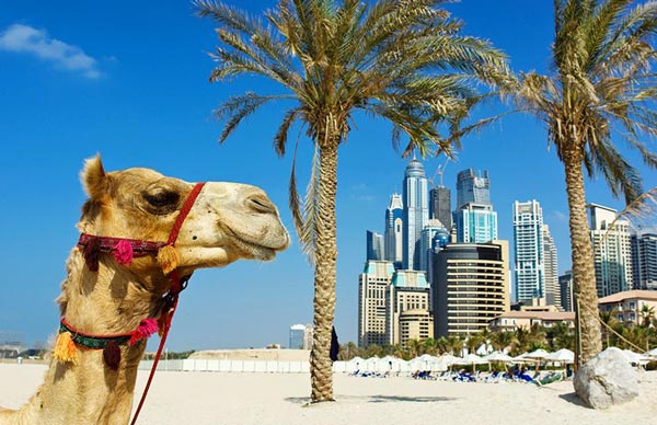 20 جاذبه های گردشگری دبی، که باید در سفر نوروزی آنها را ببینید