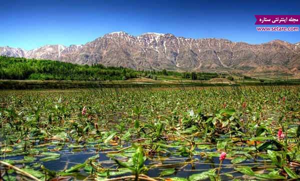 مرداب کندوچال- جاده چالوس- جاذبه های گردشگری چالوس-عکس چالوس