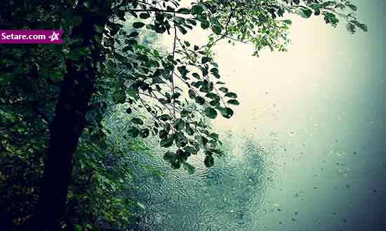 عکس های دیدنی از باران - عکس مناظر بارانی و زیبا - تصاویر طبیعت بارانی
