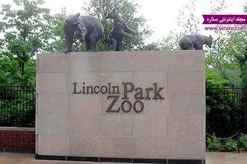 باغ وحش پارک لینکولن- عکس باغ وحش پارک لینکولن- باغ وحش پارک لینکولن شیکاگو
