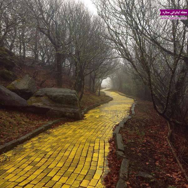 عکس جاده آجر زرد  «Land of Oz» کارولینای شمالی، آمریکا