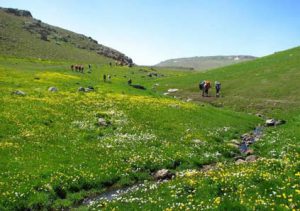 شهر خنک ایران در تابستان