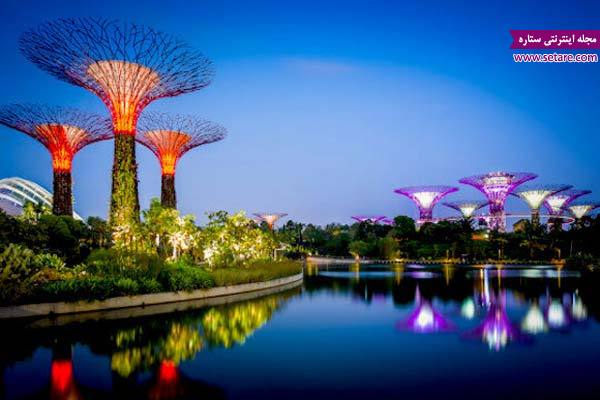 باغ‌های خلیج- عکس باغ‌های خلیج- باغ‌های خلیج سنگاپور