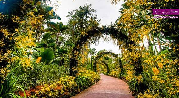 باغ گیاه شناسی- عکس باغ گیاه شناسی- باغ گیاه شناسی سنگاپور