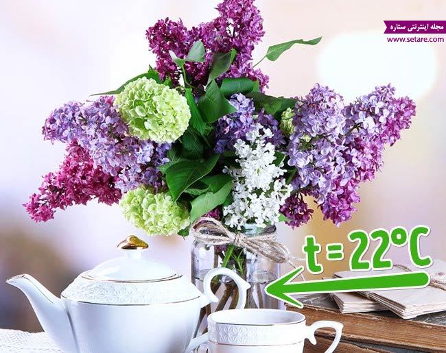 عکس نگهداری دسته گل طبیعی- از آب گرم در دمای اتاق استفاده کنید