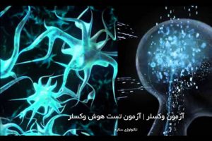 آزمون وکسلر (آزمون تست هوش وکسلر)