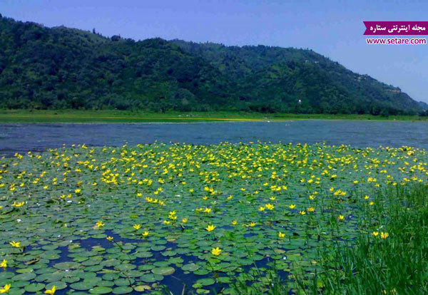 دریاچه کومله- عکس دریاچه کومله- دریاچه کومله لنگرود
