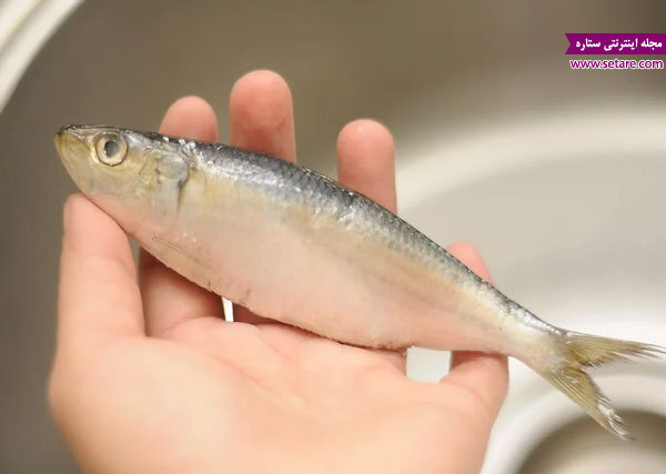 عکس تشخیص ماهی تازه از روی بوی ماهی