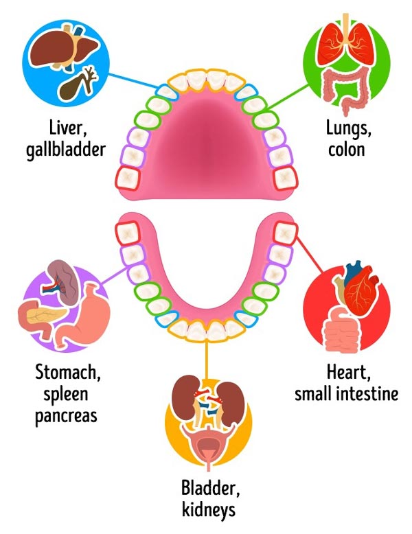 عکس دندان درد به دلیل مشکل در دیگر اعضای بدن