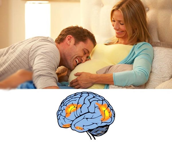 عکس تاثیر بارداری بر ساختار مغز 