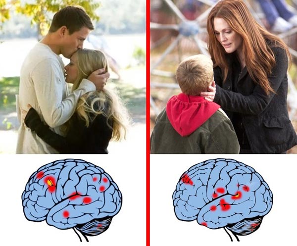 عکس تاثیر عشق رمانتیک و احساسات مادرانه بر عملکرد مغز