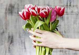 متن عذرخواهی