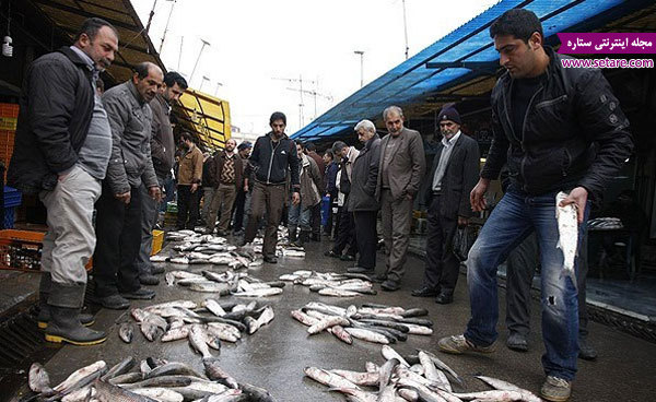 بازار ماهی انزلی- عکس بازار ماهی انزلی