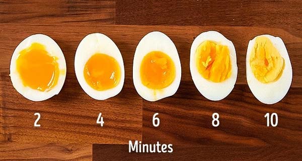 عکس مدت زمان پخت یک تخم مرغ 