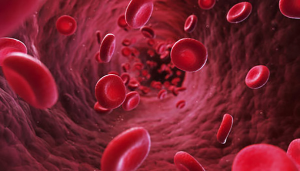 کم خونی - درمان کم خونی - گلبول های قرمز خون