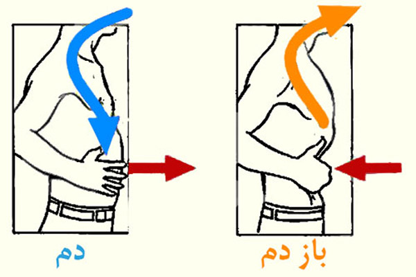 تنفس دیافراگمی