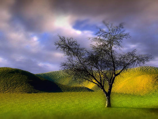 عکس طبیعت درخت ابر تپه