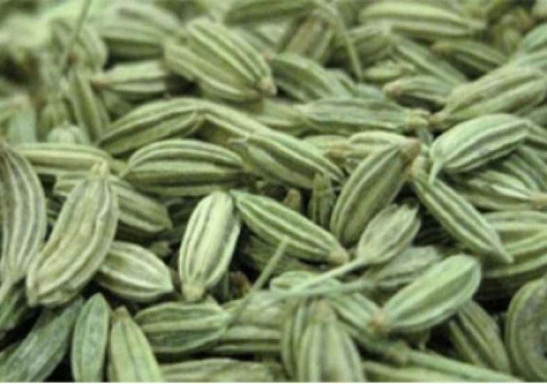 خواص عرق زیره سبز