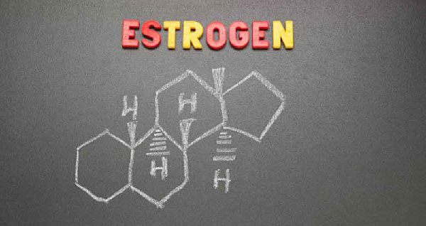 استروزن چیست - هورمون زنانه - استروژن