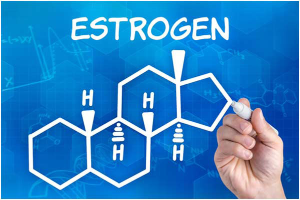 استروژن - کمبود استروژن - هورمون زنانه