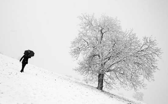 عکس مردی در برف