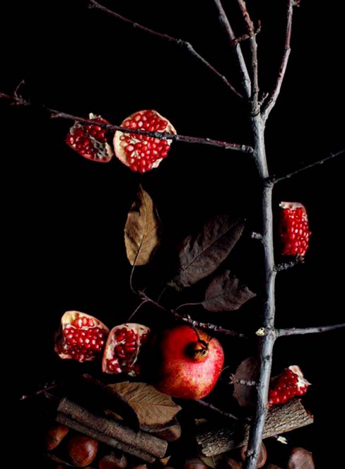 عکس تزئینات با میوه های شب یلدا درخت انار