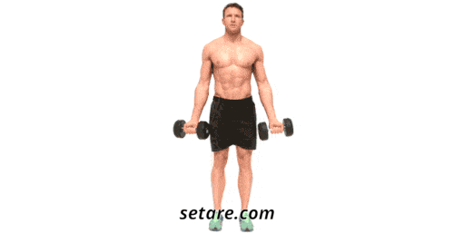 4 حرکت بی نظیر برای بزرگ کردن سینه و بازو