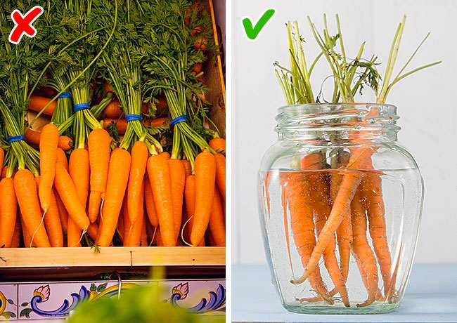عکس تازه نگه داشتن هویج