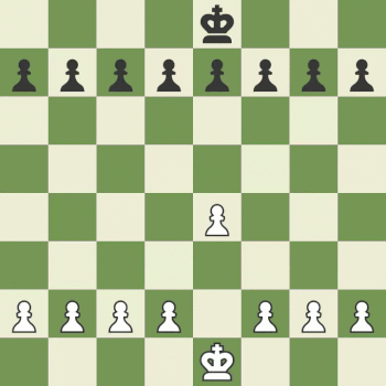آموزش شطرنج به زبان ساده با تصاویر متحرک