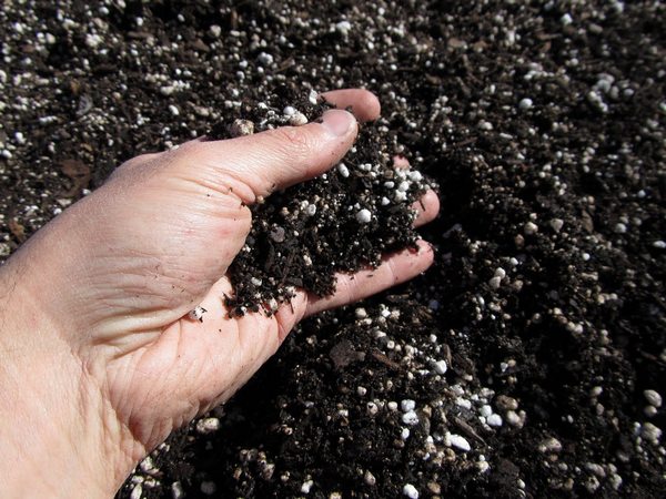 عدم ایجاد اختلال در ساختمان خاک با خاک پرلیت