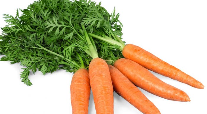 طبع هویج چگونه است؟