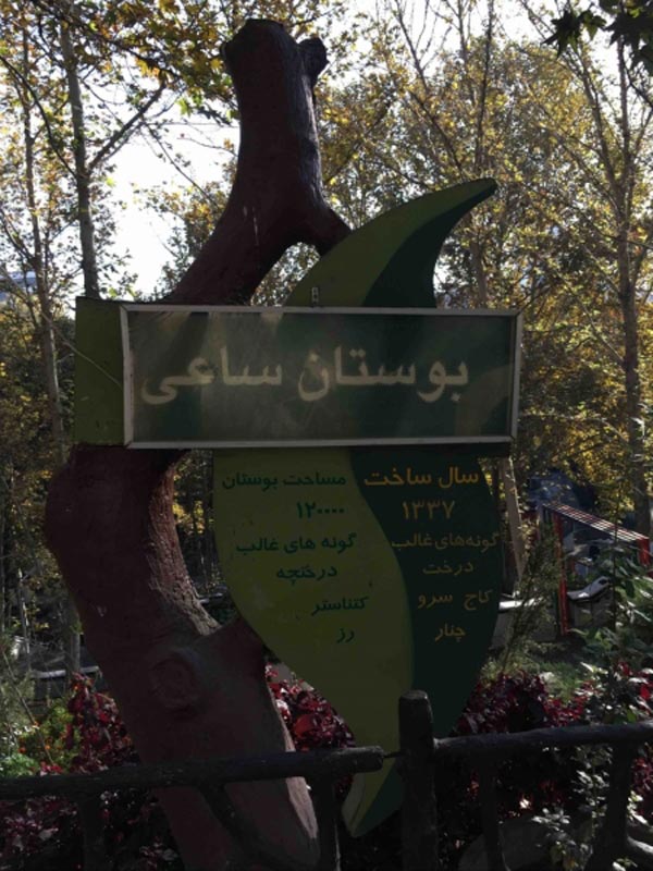 معرفی پارک ساعی تهران، ریه های تنفسی شهر