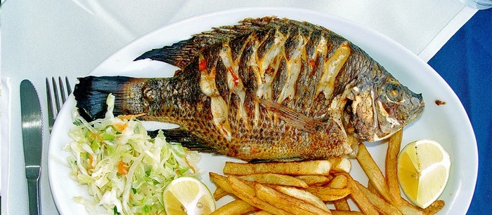 طرز تهیه ماهی تیلاپیا رژیمی