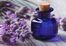 خواص روغن بنفشه پایه کنجد و طرز تهیه آن