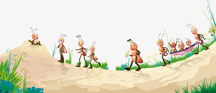 عکس زندگی مورچه ها برای کودکان