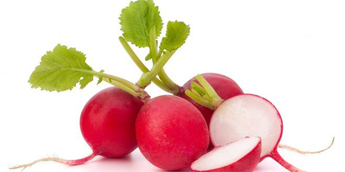 Familiarity with Radish Properties in Traditional Medicine