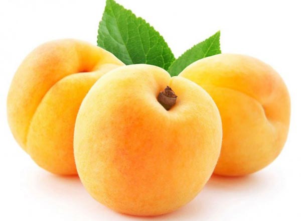 میوه زردآلو می‌تواند اسید معده و صفرا را به راحتی دفع نماید.