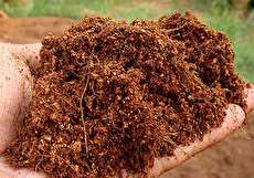 خاک کوکوپیت چیست و استفاده از آن چه مزایایی دارد؟