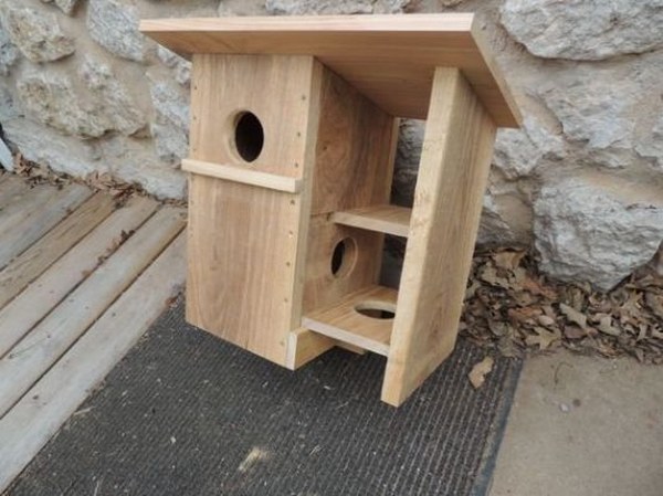 نگهداری از سنجاب در منزل ایجاد یک آشیانه یا خانه کوچک در داخل قفس