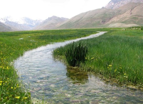 روستای افجه