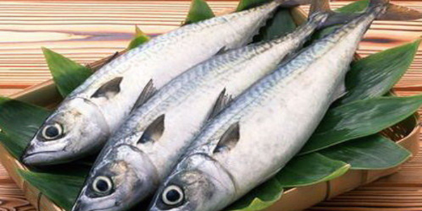 تاثیر مصرف ماهی در کاهش وزن