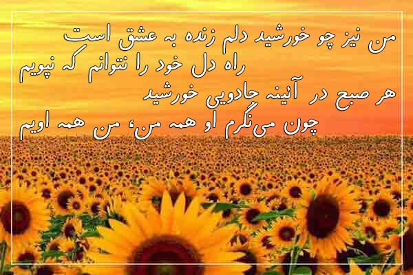 عکس نوشته شعر عاشقانه فریدون مشیری زنده به عشق شعر عاشقانه فریدون مشیری