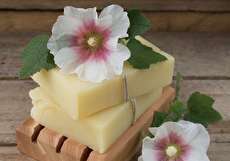 طرز تهیه صابون گل ختمی برای سلامت صورت و کاهش ریزش مو