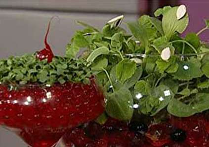 جدیدترین سبزه هفت سین عید، سبزه با خاک ژله ای