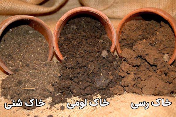 انواع خاک گلدانی، خاک رسی، خاک شنی و خاک لومی 