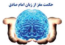 حکمت موجود در شکل مغز و سر انسان از زبان امام صادق علیه السلام