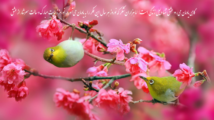 &Oslash;&ordf;&Oslash;&uml;&Oslash;&plusmn;&Ucirc;&Uacute;&copy; &Oslash;&sup1;&Ucirc;&Oslash;&macr; &Ugrave;&Ugrave;&Oslash;&plusmn;&Ugrave;&Oslash;&sup2; &Oslash;&sup1;&Oslash;&sect;&Oslash;&acute;&Ugrave;&Oslash;&sect;&Ugrave;&Ugrave;