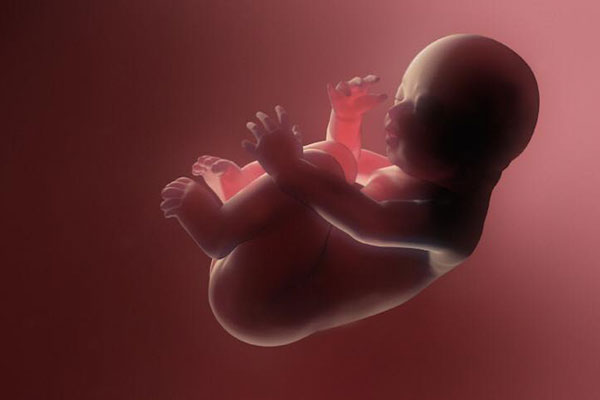 بهترین زمان تعیین جنسیت جنین هفته چند بارداری است؟