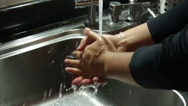 عکس شستن دست‌ها قبل از تمیز کردن کتاب